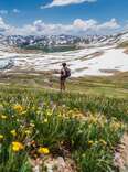 woman hiking through wildflowers in a mountain range