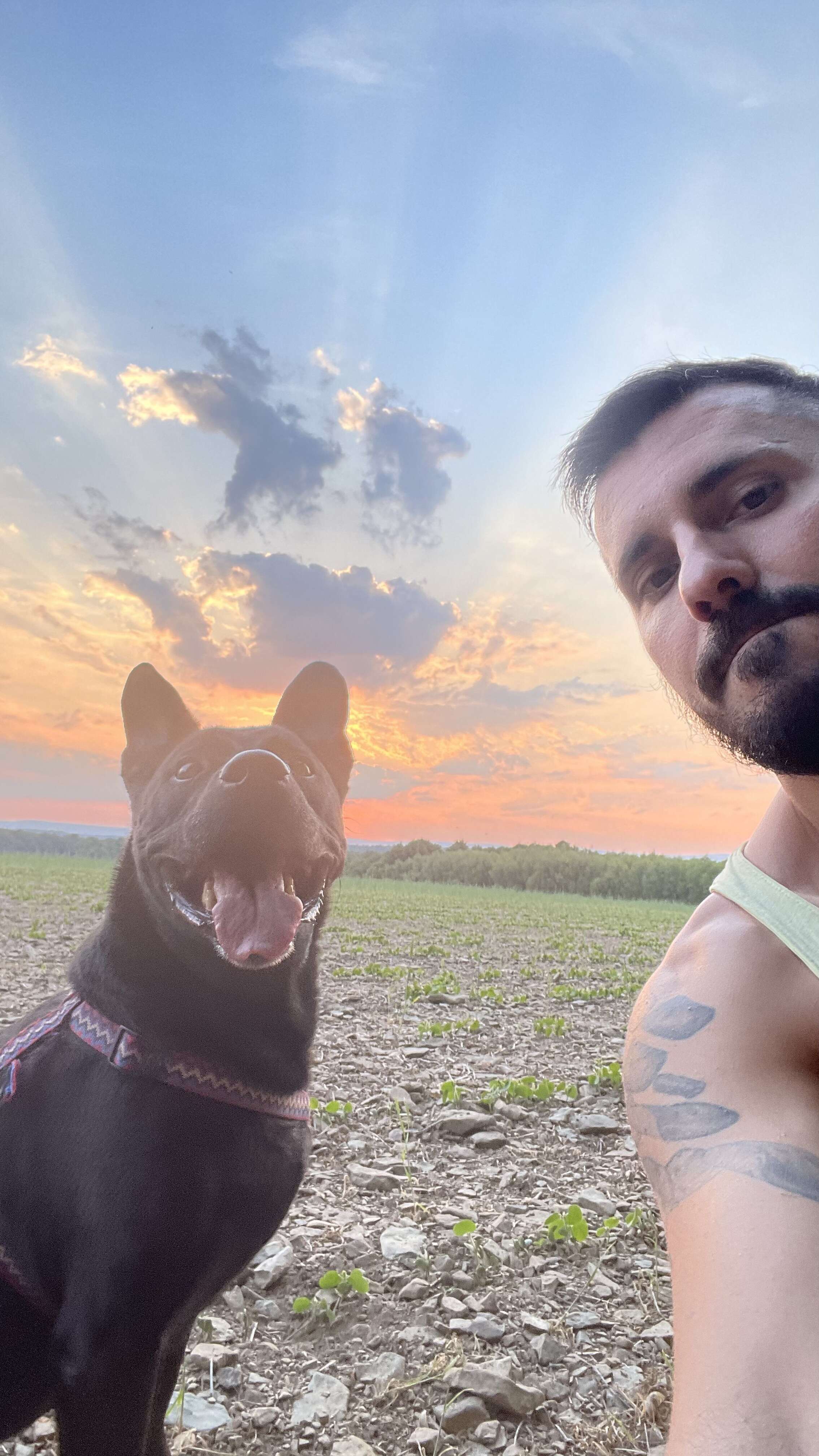 dog and dad watching the sunset
