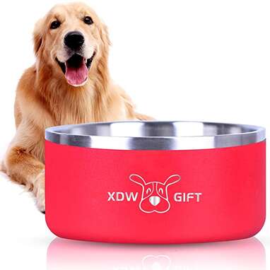 Heavy Dog Bowls That Can't Be Moved