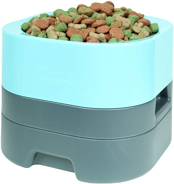 Heavy dog hot sale water bowl