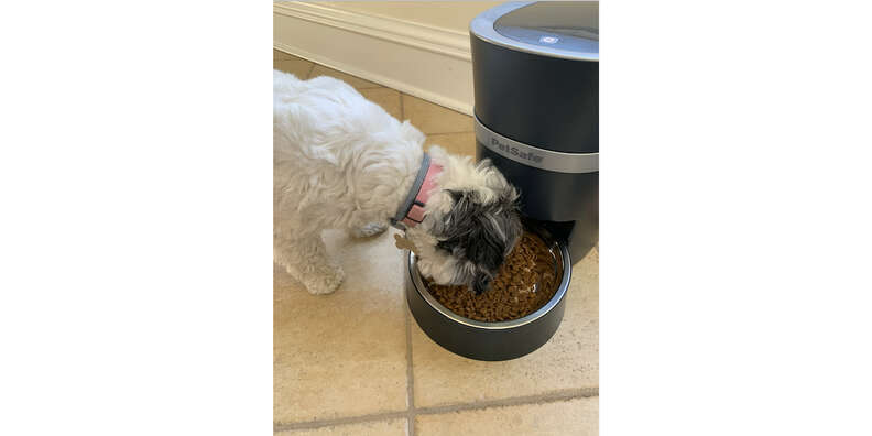 PetSafe Smart Feed Automatic Dog and Cat Feeder