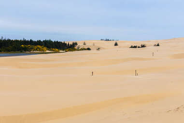 rolling dunes leading to a misty beach