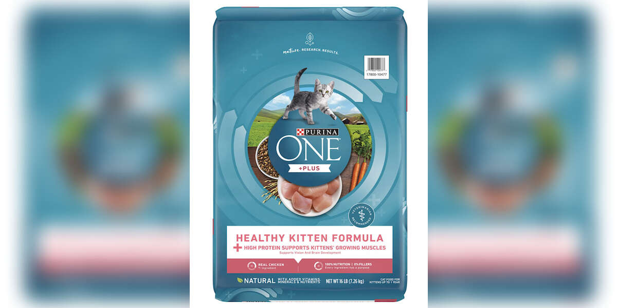 8 Amazon Kitten Foods That Cat Parents Love - DodoWell - The Dodo