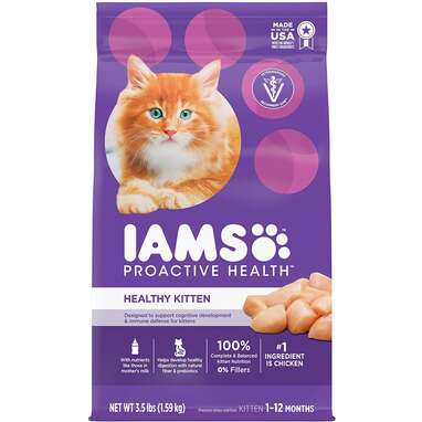 IAMS Proactive Health Kitten