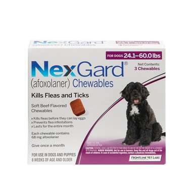 Edible tick medicine dogs hotsell