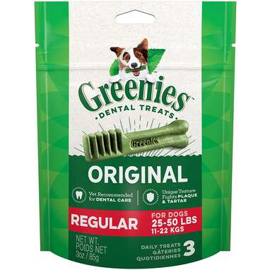 A tasty snack that’s good for his teeth: Greenies Dog Dental Treats