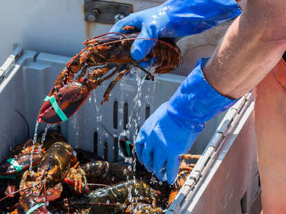 lobsterman on boat