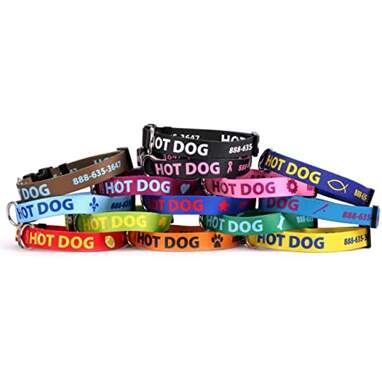 Yellow Dog Design Personalized Pet Collar
