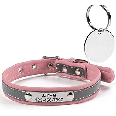 M JJYPet Personalized Engraved Pet Collar