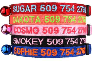 GoTags Personalized Cat Collars