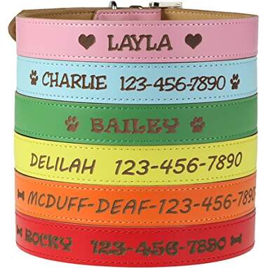 Custom Catch Personalized Pet Collar