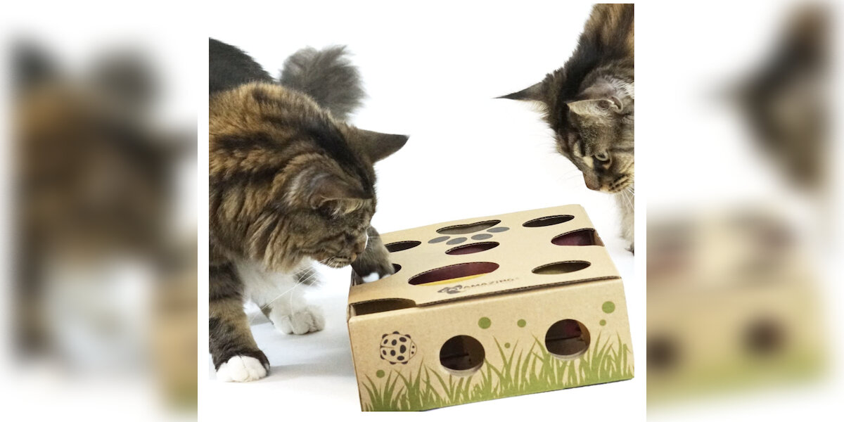 Cat Senses Food Maze Treat Food Cat Toy Pet Interactive Toys Cats