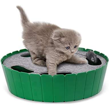 top cat toys amazon