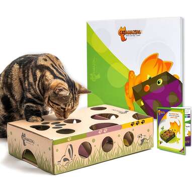 interactive cat toys with timers