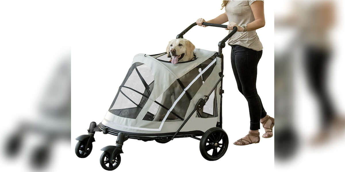 10 Dog Strollers On Amazon That End The Walk Time Struggle DodoWell