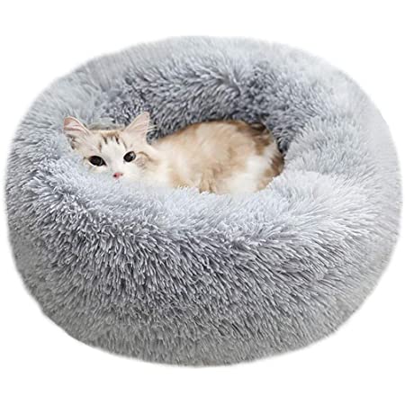 Calming cat bed outlet reviews