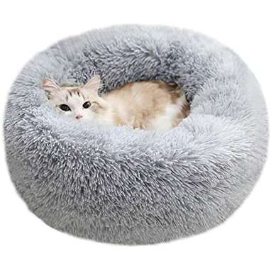 Anxiety bed 2025 for cats