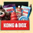 kong box