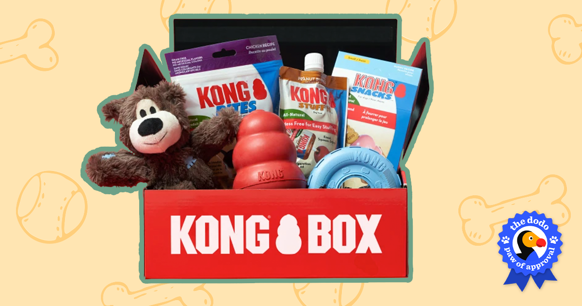 KONG Dog Toys: Are They Worth Buying, According To Reviews? - Paw of  Approval - The Dodo