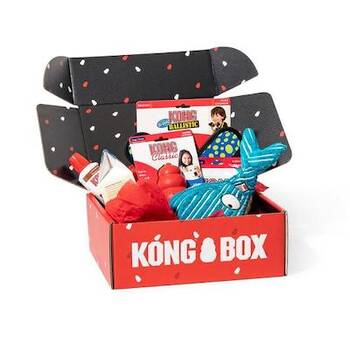 Kong 2025 dog box