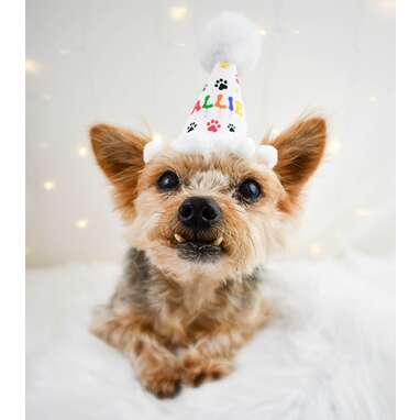 Personalized Rainbow Dog Birthday Hat