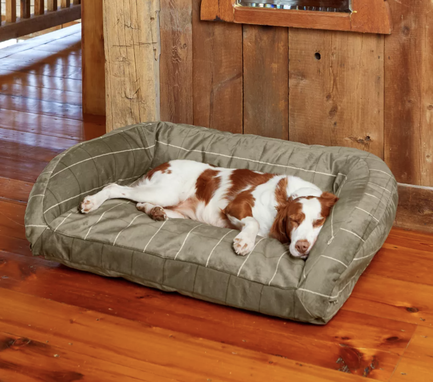 Orvis chew clearance proof dog bed