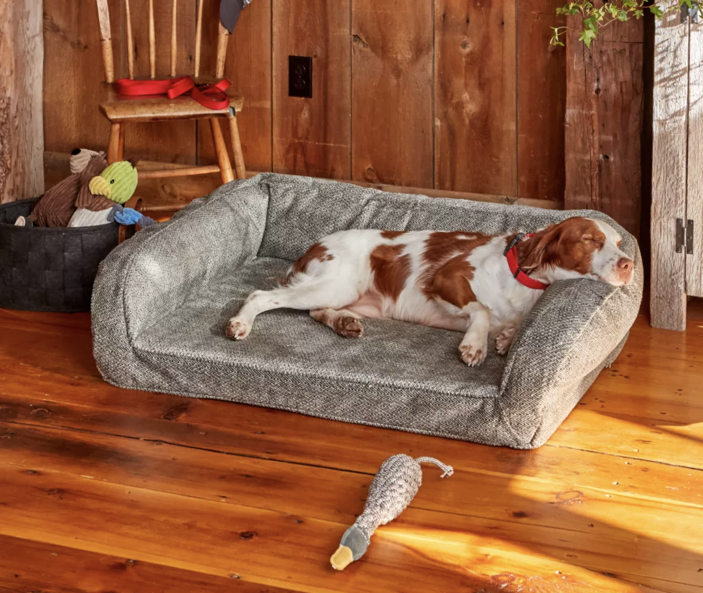 Orvis toughchew dog store bed