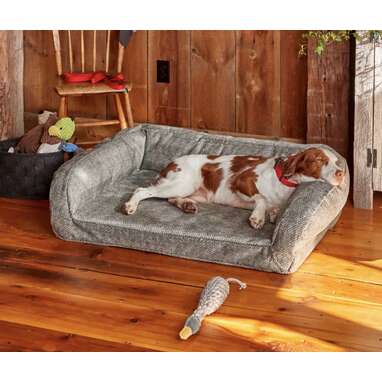 Orvis ToughChew Memory Foam Bolster Bed