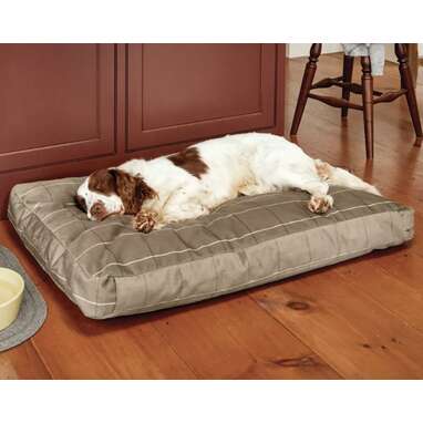 Orvis platform deals dog bed