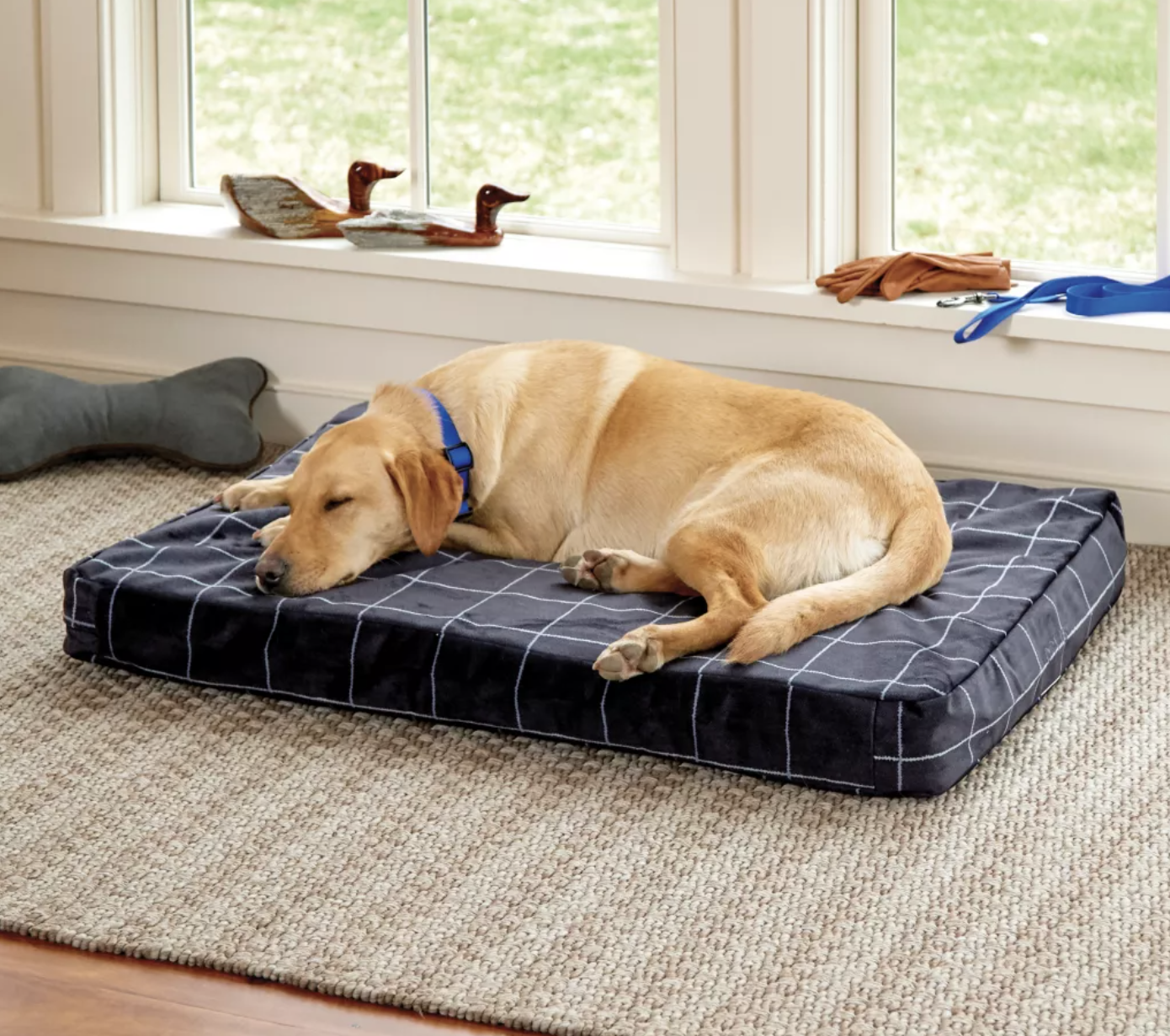 Orvis chew shop proof dog bed