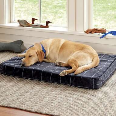 Orvis ToughChew Memory Foam Platform Dog Bed