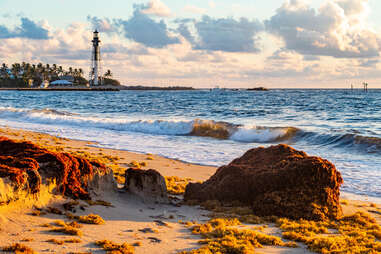 waves washing up on a rocky beach with a lighthouse in the distance