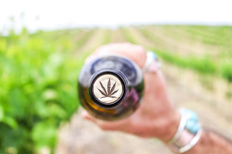 Rebel Coast wine