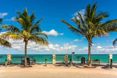 person sitting under a large palm tree on a boardwalk