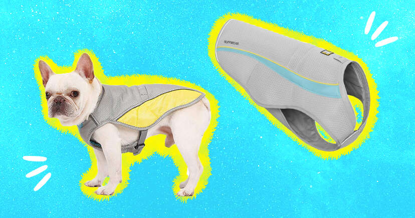 Best dog cooling coat deals