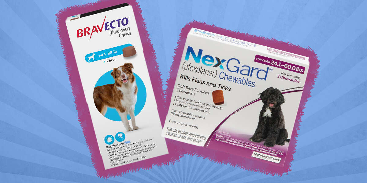 is there an oral flea and tick pill for dogs