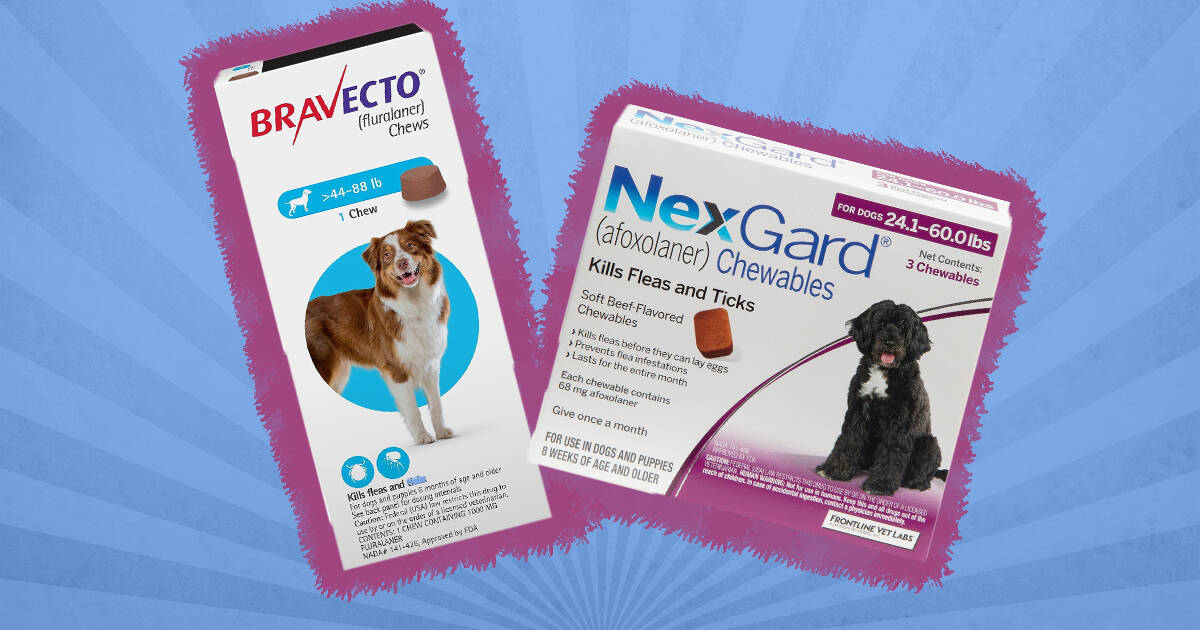 Best flea treatment for dogs over the clearance counter