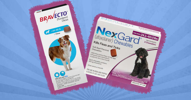 Top flea prevention outlet for dogs