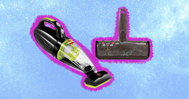 The 5 Best Tools To Remove Pet Hair From Your Car - DodoWell - The Dodo The 5 Best Tools To Remove Pet Hair From Your Car - DodoWell - The Dodo