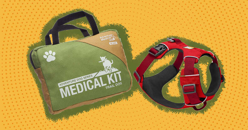 Dog camping supplies hot sale