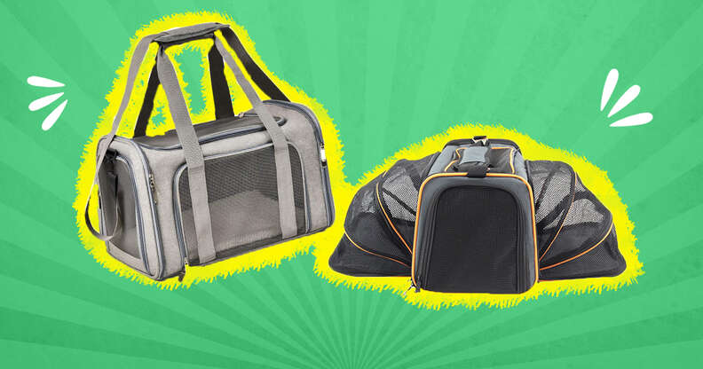 The Best Cat Carriers, According to Veterinarians - DodoWell - The Dodo