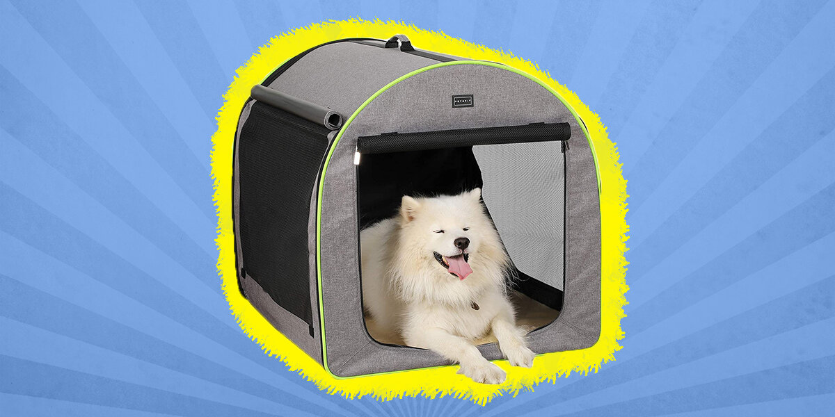 Portable dog outlet kennels for camping