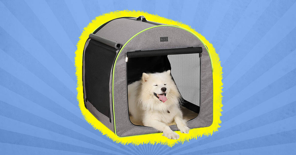 Portable dog best sale house for camping