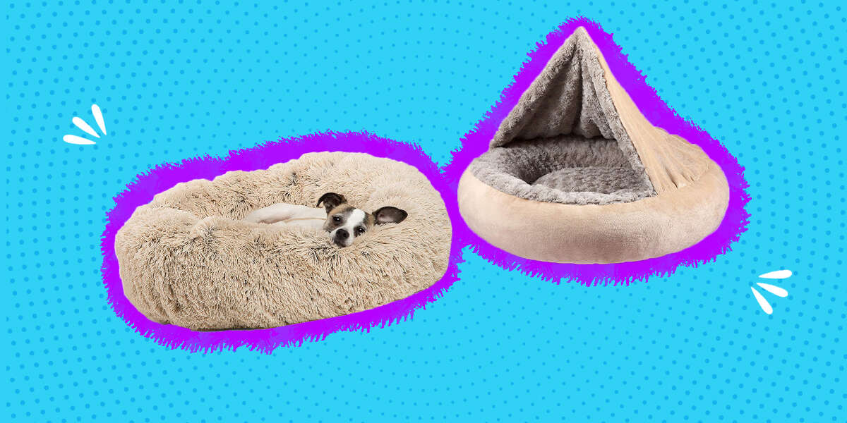 5 Calming Dog Beds To Help An Anxious Pup DodoWell The Dodo