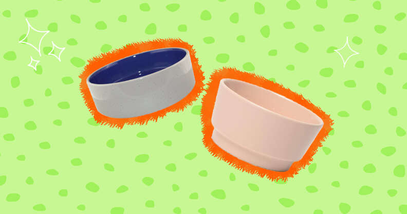 60 Pieces Disposable Pet Bowls Paper Small Dog Bowls Dog Dishes