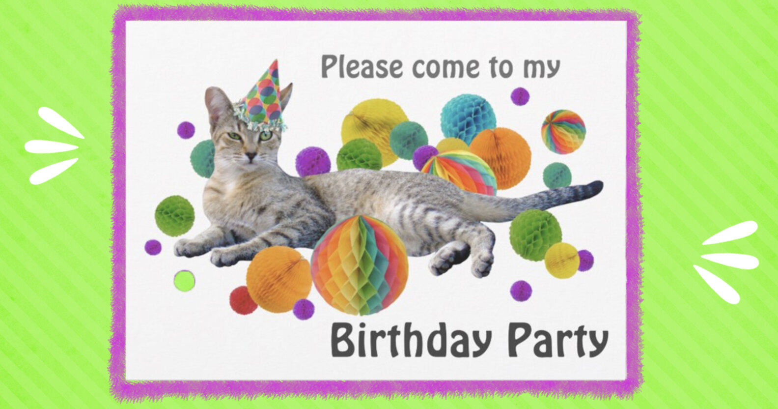 How To Throw A Cat Birthday Party DodoWell The Dodo