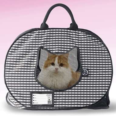 Super Cozy Kawaii Cat Carrier - It's so charming for a Stylish Look! –  Meowgicians™
