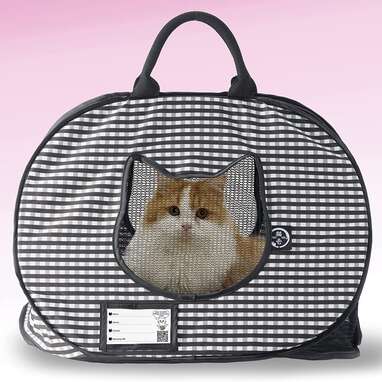 Cute 2025 cat carrier