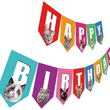 Cat Birthday Banner