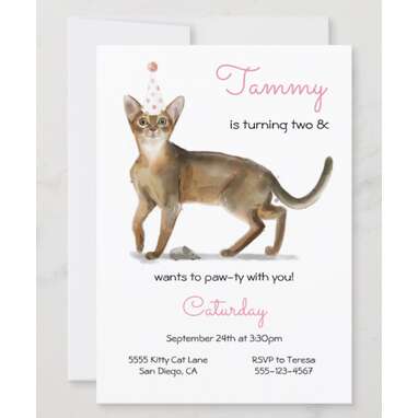 Cat Birthday Party Invitation